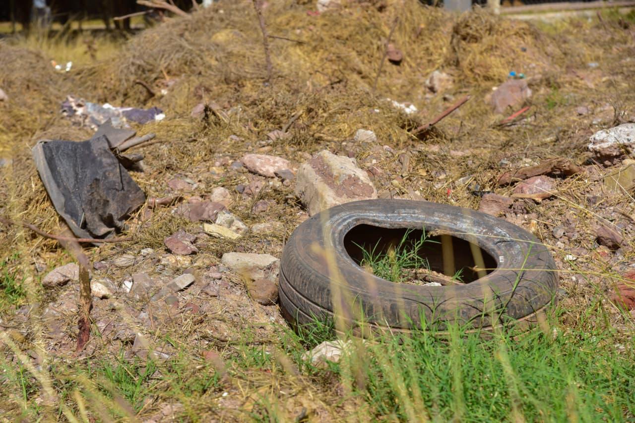 Arranca en Los Mochis la campaña estatal 2026 de eliminación de criaderos “Tod@s contra el dengue”.