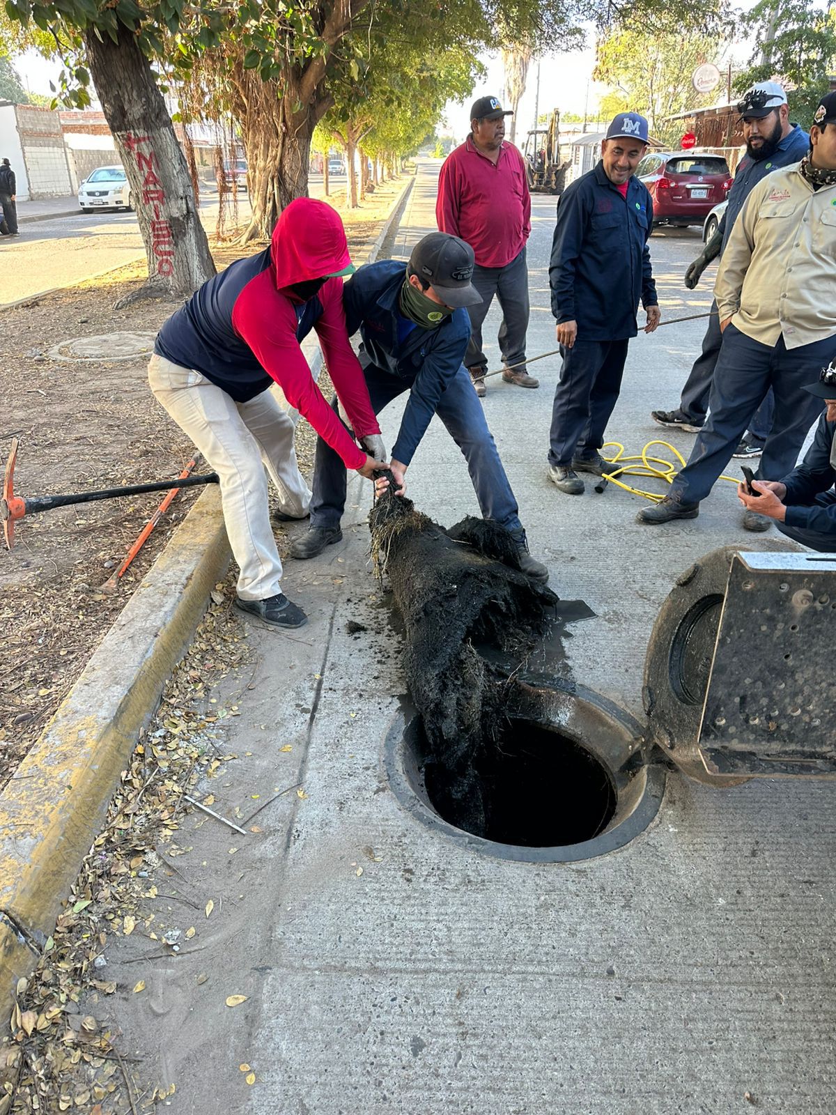 JAPAMA realiza trabajos de desazolve