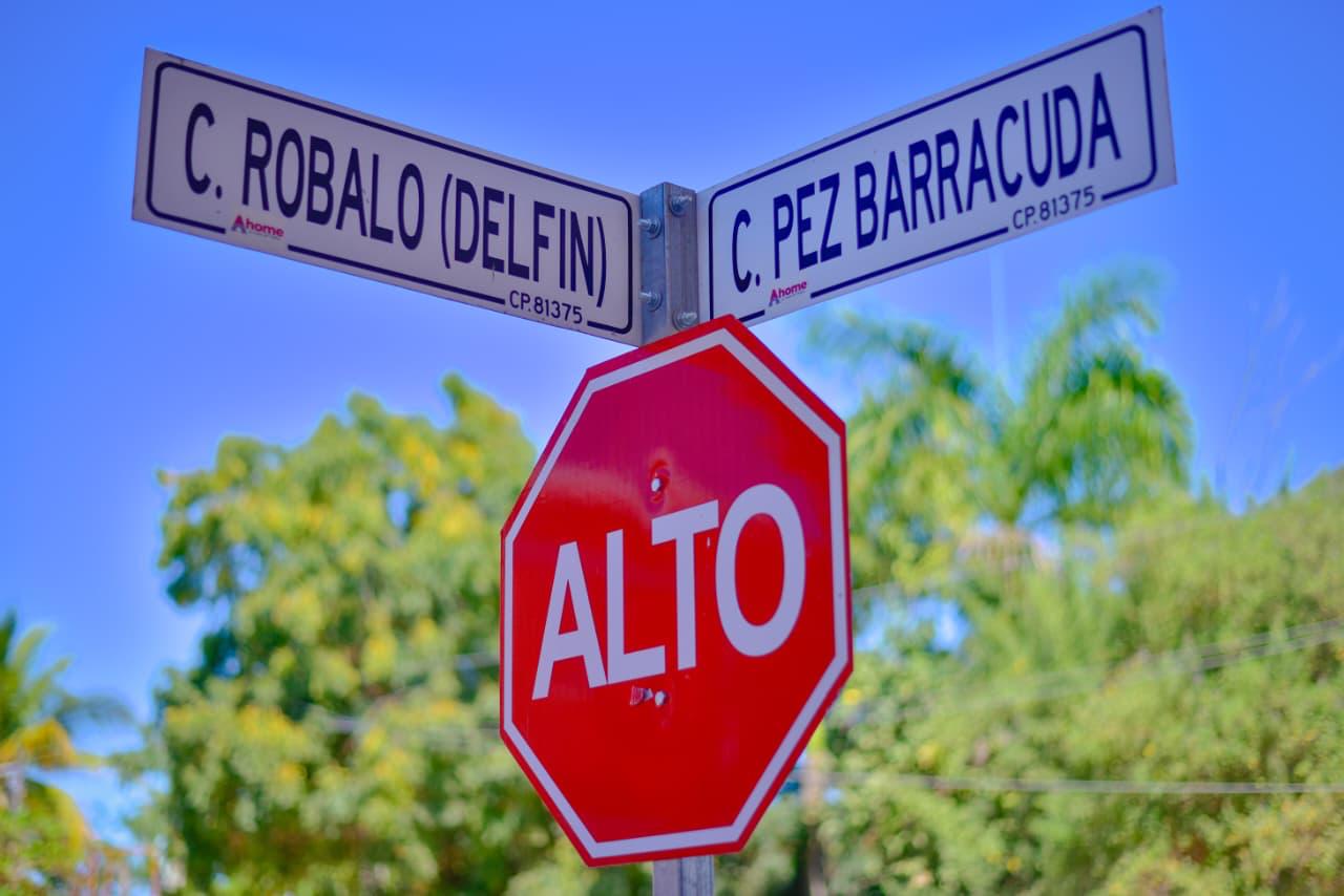“Programa de bacheo, rehabilitación de banquetas y arborización, avanza satisfactoriamente”: Antonio Menéndez.