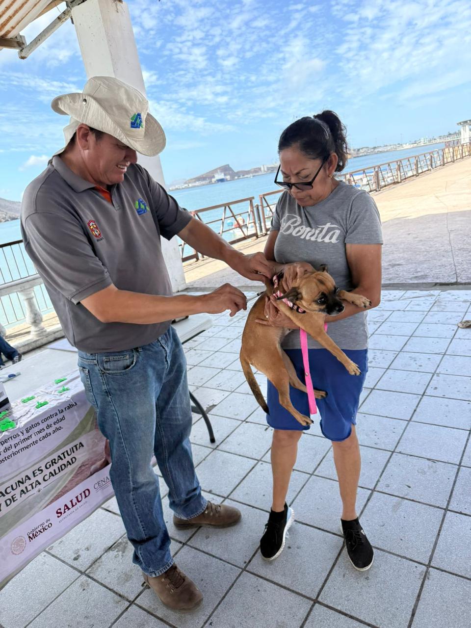 “Jornada de Vacunación Antirrábica “Salva Vidas”, queda permanente debido al gran éxito”: Ma. Isabel Astorga.