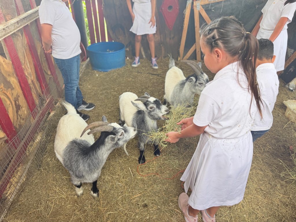 Niñas y niños de Casa Hogar Santa Eduwiges disfrutan experiencia de convivencia con animales en Pet Farm
